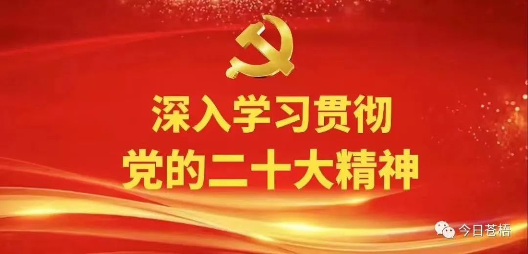 篮球教练队长训练计划书范文怎么写_1