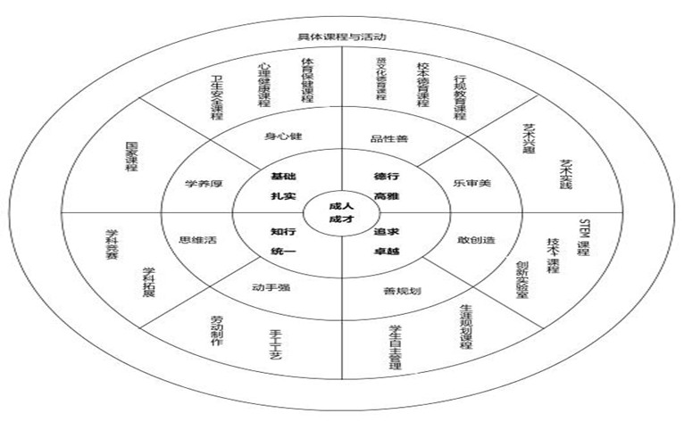 篮球训练营中试训的表现评估方法_1